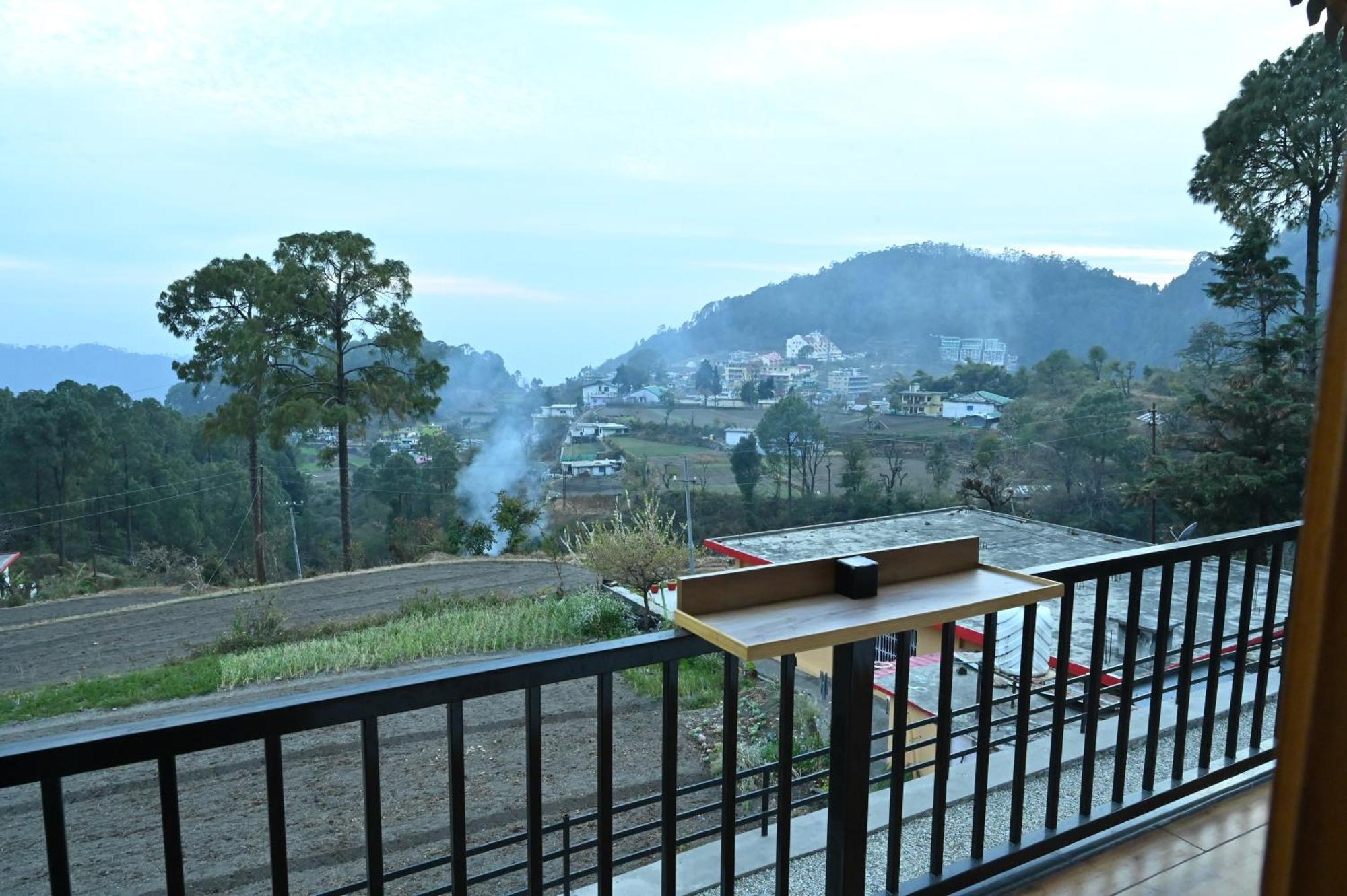 Silver Fern By The Hillside Nainital Camera foto